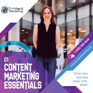CONTENT MARKETING ESSENTIAL PLAN