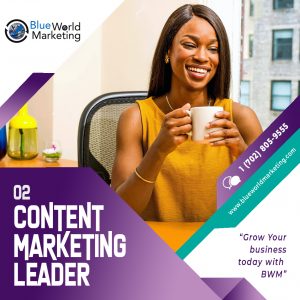 CONTENT MARKETING LEADER PLAN