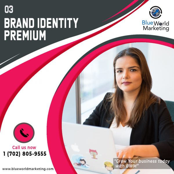 BRAND IDENTITY PREMIUM PLAN