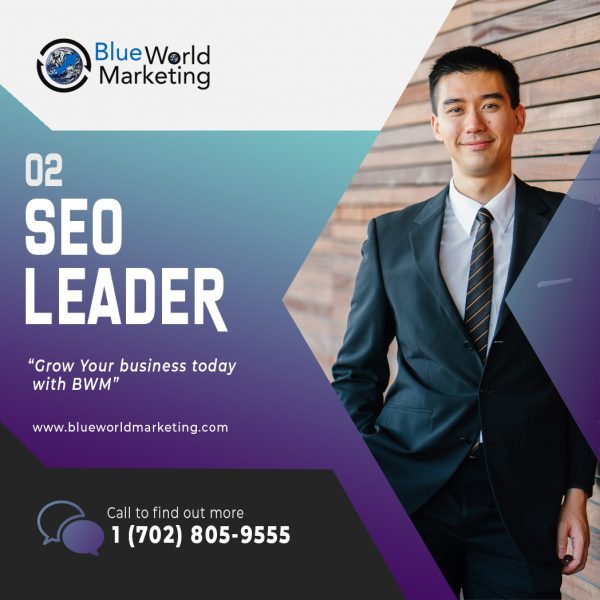 SEO LEADER PLAN