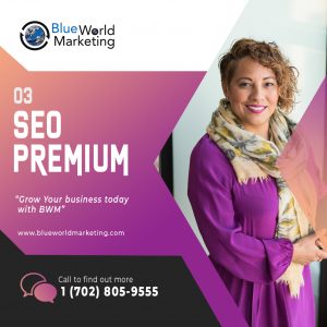 SEO PREMIUM PLAN