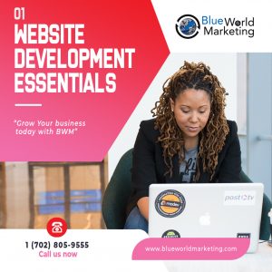 WEBSITE ESSENTIALS PLAN
