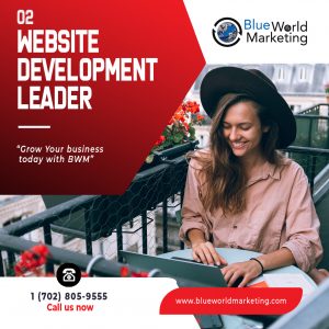 WEBSITE LEADER