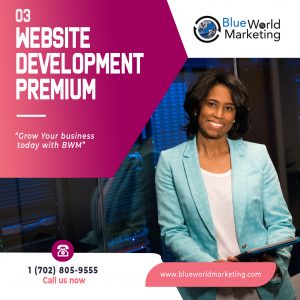 WEBSITE PREMIUM