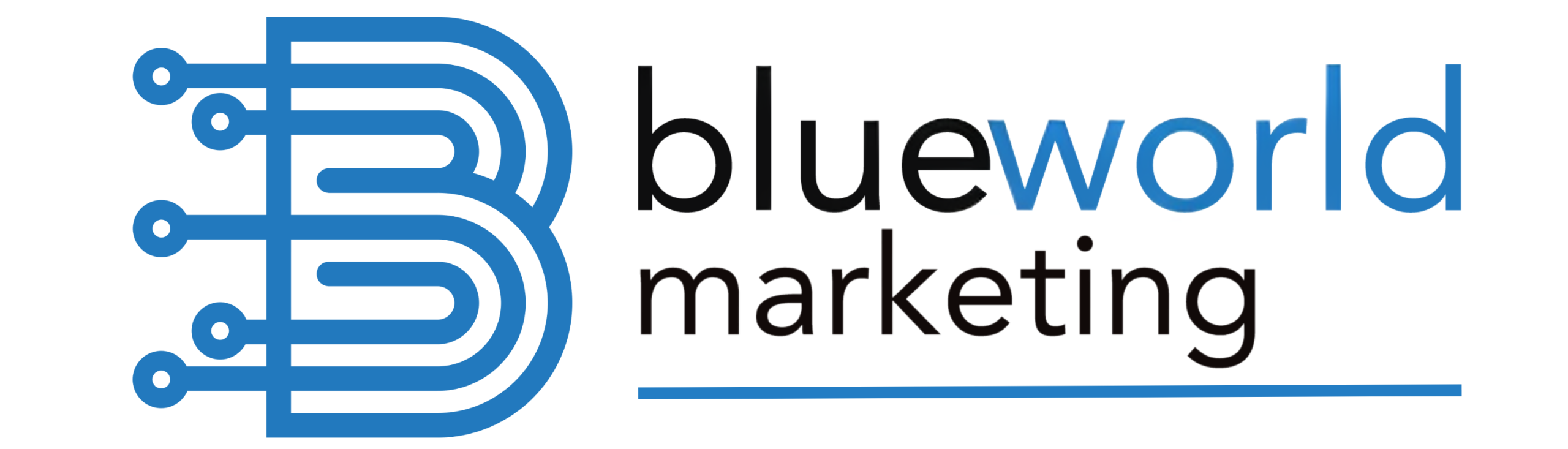 Blue World Marketing
